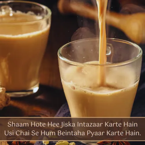 Chai Shayari in English