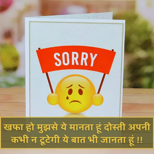 Sorry Shayari for Friend