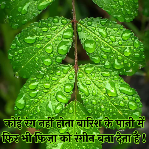Barish Par Shayari​